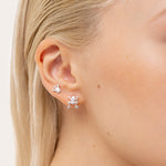 Cerceri argintii cu broscuță și coroniță, prezentați în sticluță cadou, model LOVE Glass Bottles