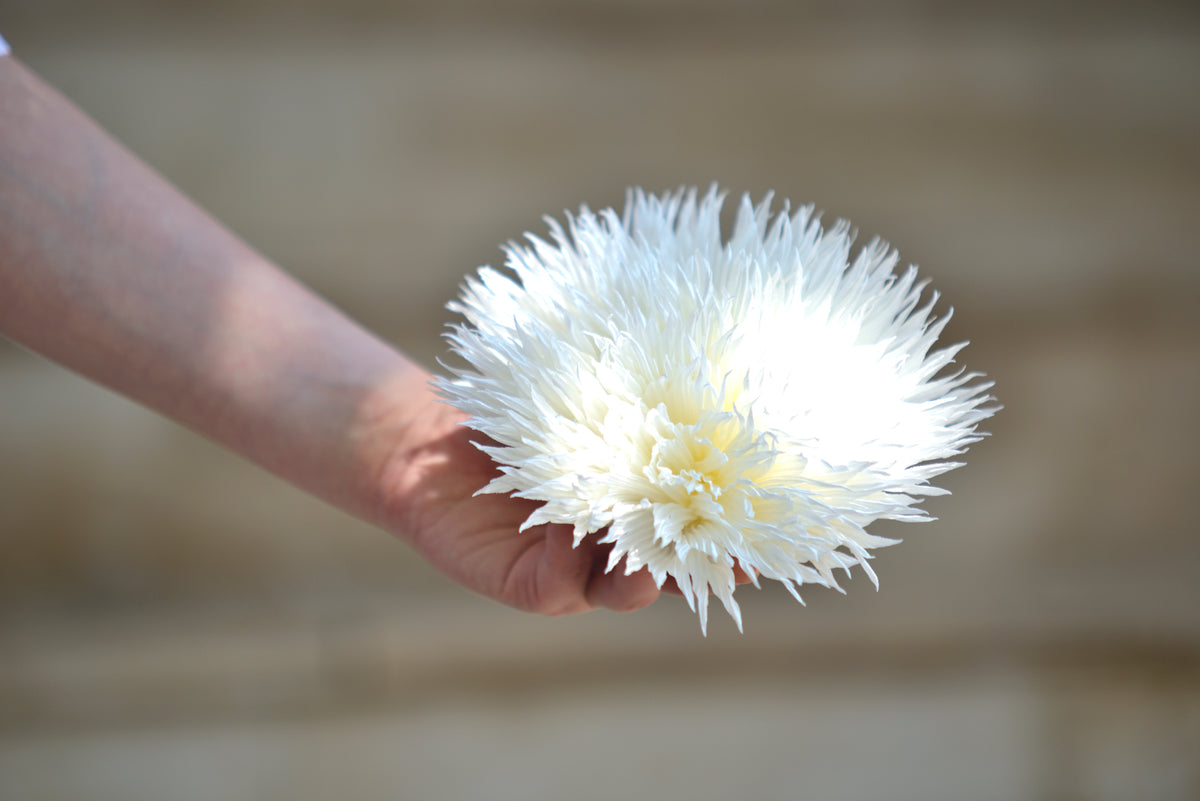 Broșă albă voluminoasă, în formă de floare, ținută în mână