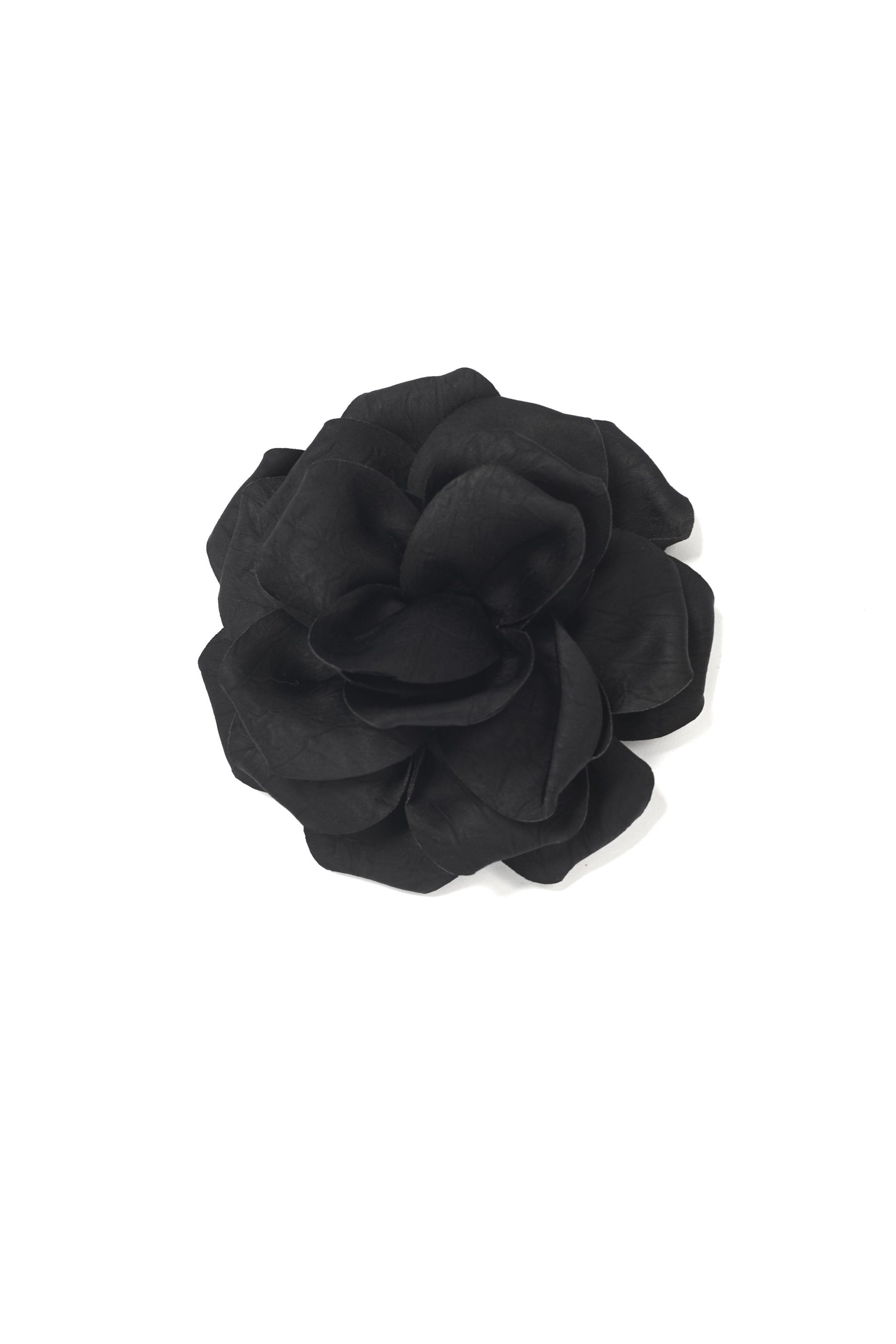 Floare satinată neagră, cu aspect elegant și textură fină.